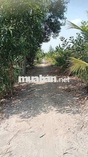 380tr/1000mv ĐẤT VƯỜN ,ĐƯỜNG ÔTÔ TỚI ĐẤT