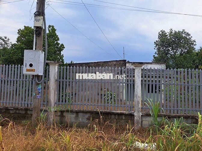 3384M2 ĐẤT THỔ CƯ -30M MT ĐƯỜNG NHỰA - CẦN CHUYỂN NHƯỢNG !