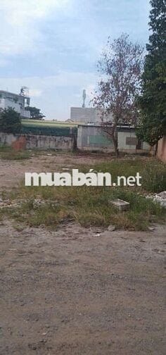 Đất thổ cư Bình Phước – Pháp lý đầy đủ