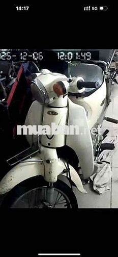 xe cups máy nguyên êm thút thít