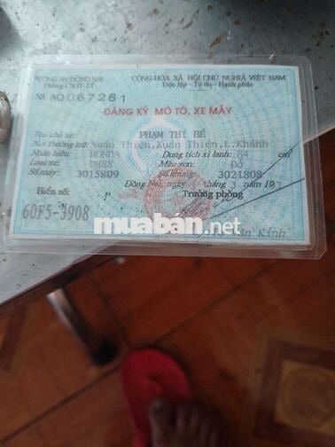 Honda Cub có giấy tờ
