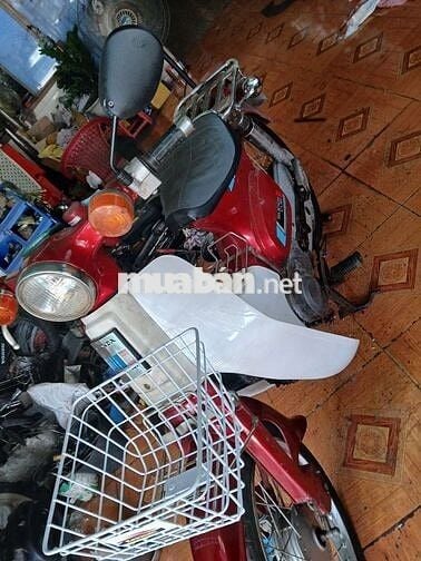 Honda Cub có giấy tờ