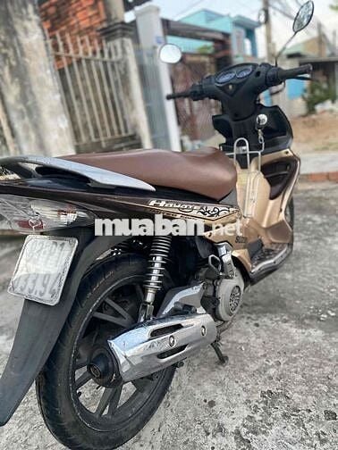 Suzuki Hayate Nâu Vàng đồng