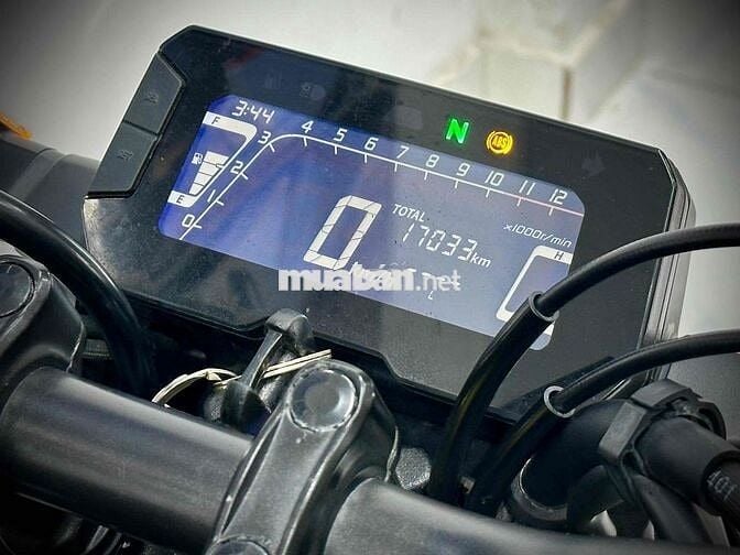 HONDA CB300R DATE 2019