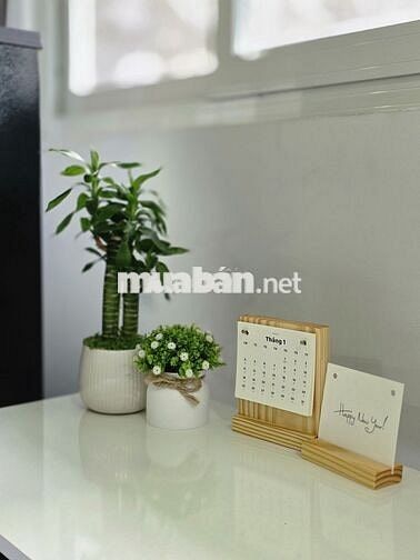 Căn hộ mini Quận 11 sát quận 10 đầy đủ nội thất - thang máy, PCCC