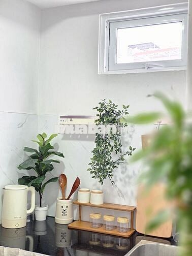 Căn hộ mini Quận 11 sát quận 10 đầy đủ nội thất - thang máy, PCCC