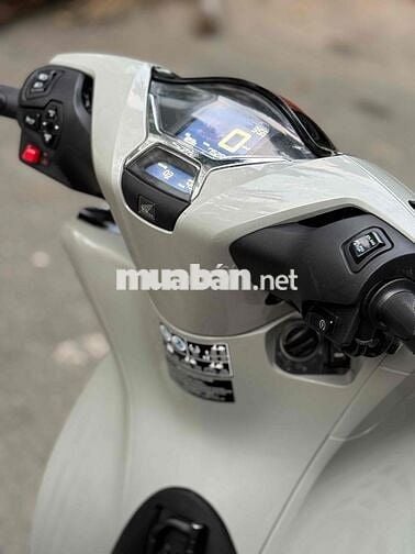 Honda SH 160i ABS 2024 Xám xi măng