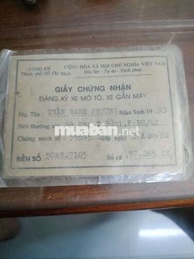 Cần bán chiếc cúp 81 có giấy thành phố