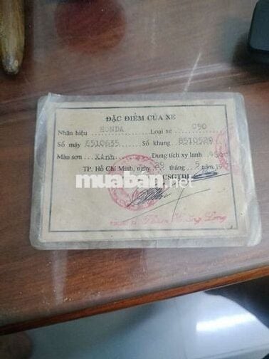 Cần bán chiếc cúp 81 có giấy thành phố