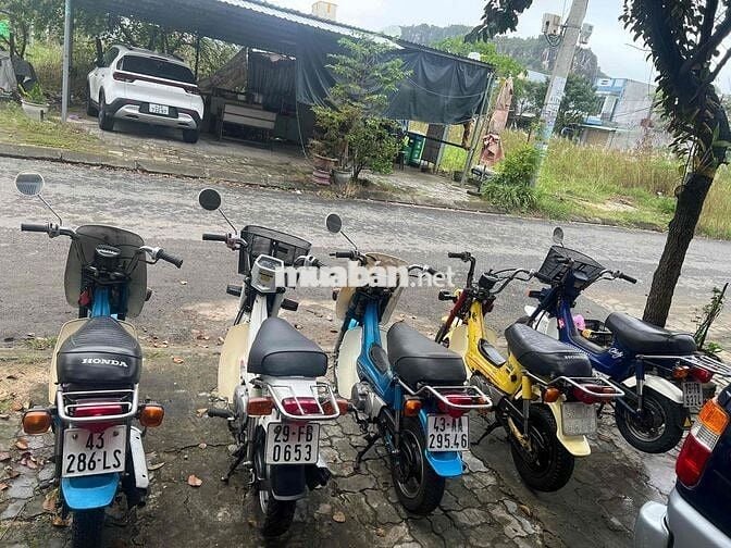 Chaly 50cc ko cần bằng lái, sơn zin đồ zin bít xe.