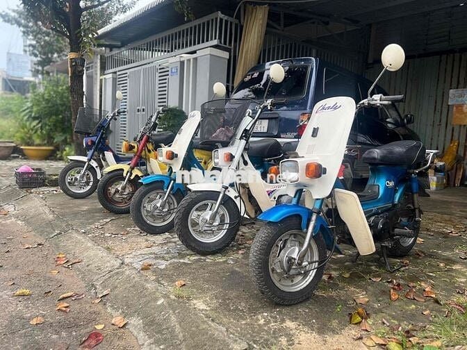 Chaly 50cc ko cần bằng lái, sơn zin đồ zin bít xe.