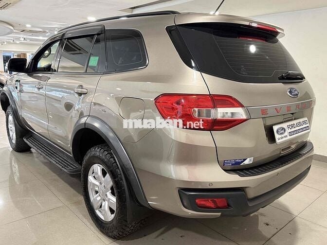 Everest Ambient 2019 Số Tự Động Bán Tại Hãng Ford