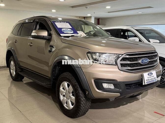 Everest Ambient 2019 Số Tự Động Bán Tại Hãng Ford