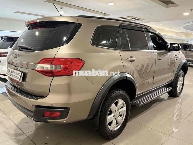 Everest Ambient 2019 Số Tự Động Bán Tại Hãng Ford