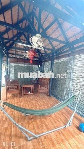 cần bán gấp đất tặng nhà Phú An Bến Cát Bình Dương mặt tiền đường DX