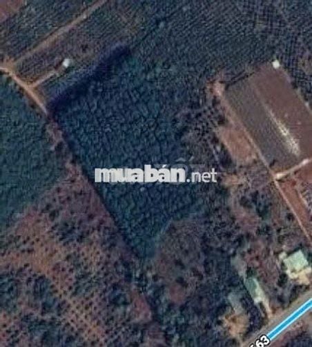 ĐẤT ĐẸP-GIÁ TỐT chính chủ bán nhanh lô đất tại huyện Chư Prong,Gia Lai