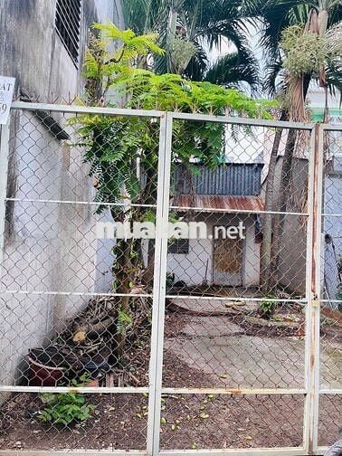 ĐẤT FULL THỔ CƯ GẦN TRƯỜNG TIỂU HỌC HOÀNG DIỆU - HẺM XE HƠI THÔNG