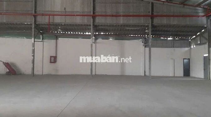 Cần cho thuê gấp kho diện tích 500m2 ở Đào Trí có pccc