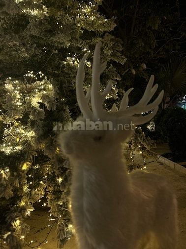 🍀Minh cần 3 nhân viên bán cafe