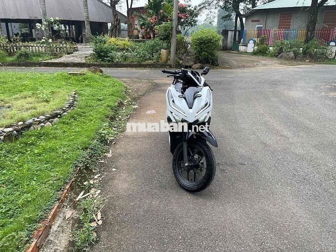 bán Vario màu trắng