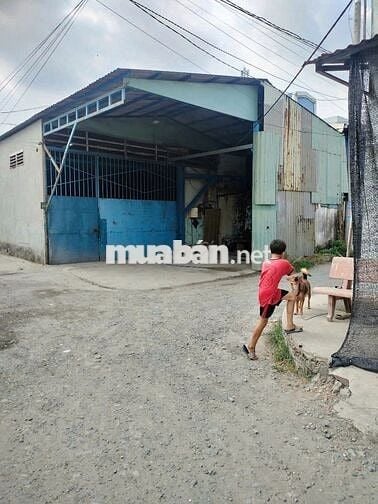 Đất thổ cư 100%, 540m2 Nguyễn Văn Dương, Đức Hòa Đông, Long An