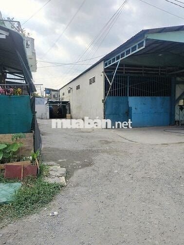 Đất thổ cư 100%, 540m2 Nguyễn Văn Dương, Đức Hòa Đông, Long An