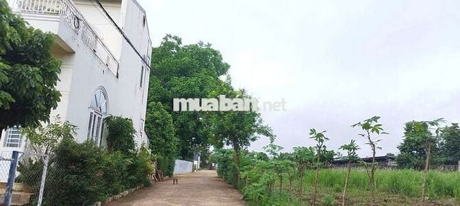 🔥GÓC 2 MẶT TIỀN, GẦN HỒ THUỶ LỢI EATAM – (8,75x17M) GIÁ 1,75 TỶ 🔥