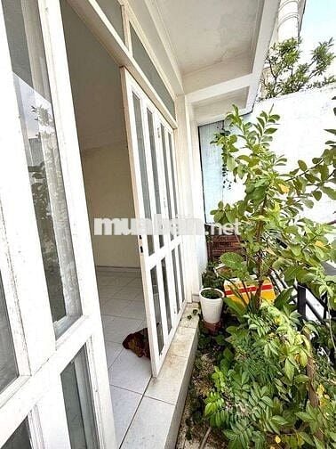 🌾 NGON - BỔ - RẺ, TAM ANH HỘI TỤ.
 💰 CƠ HỘI KHÔNG THỂ BỎ QUA!