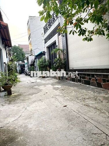 🌾 NGON - BỔ - RẺ, TAM ANH HỘI TỤ.
 💰 CƠ HỘI KHÔNG THỂ BỎ QUA!