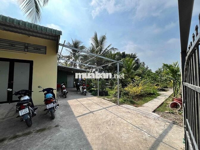 Bán vườn có nhà tại Phường Vĩnh Mỹ, Châu Đốc
