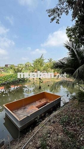 Bán vườn có nhà tại Phường Vĩnh Mỹ, Châu Đốc