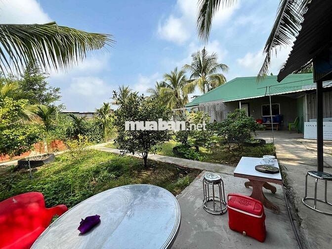 Bán vườn có nhà tại Phường Vĩnh Mỹ, Châu Đốc