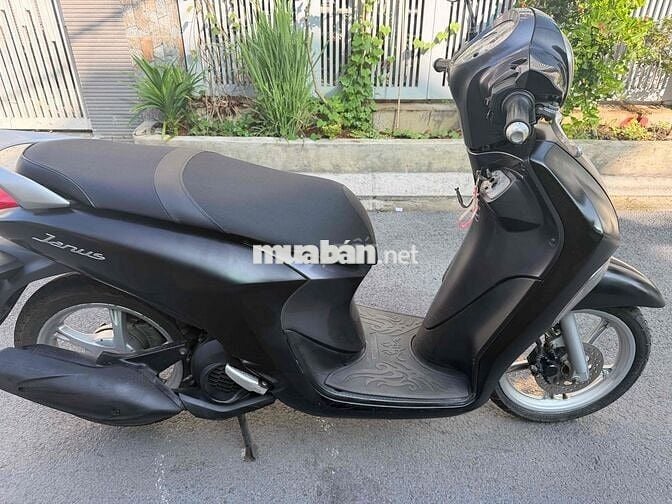 Yamaha Janus xinh đẹp