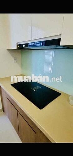 Cho thuê căn hộ CC CT3 Vĩnh Điềm Trung