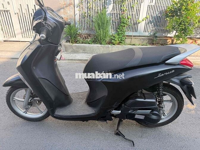 Yamaha Janus xinh đẹp