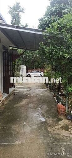 Bán nhanh đất kiệt 106 minh mạng