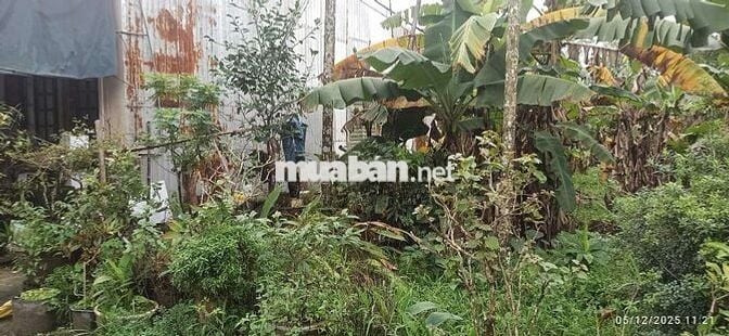 Bán nhanh đất kiệt 106 minh mạng