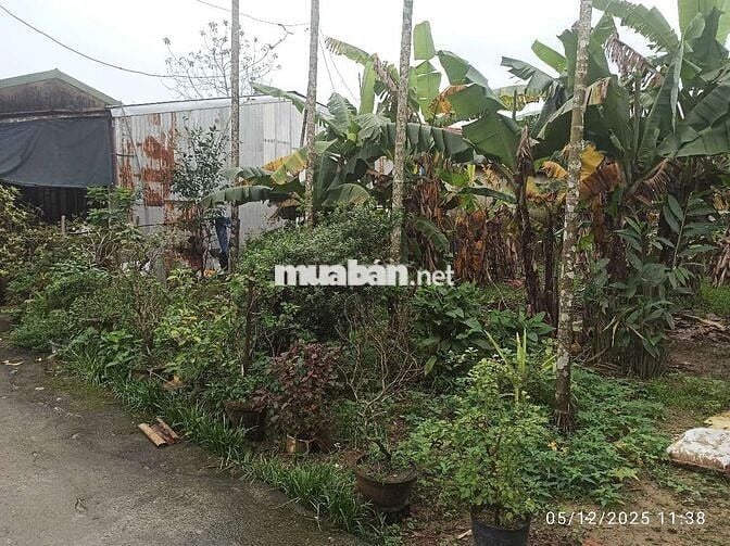 Bán nhanh đất kiệt 106 minh mạng