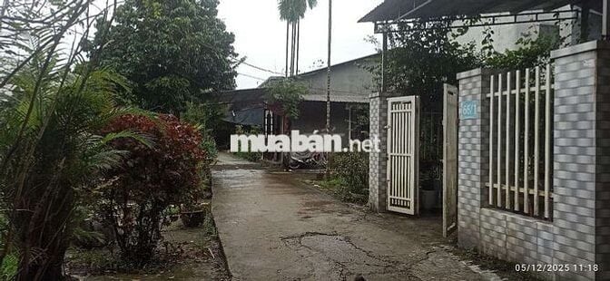 Bán nhanh đất kiệt 106 minh mạng