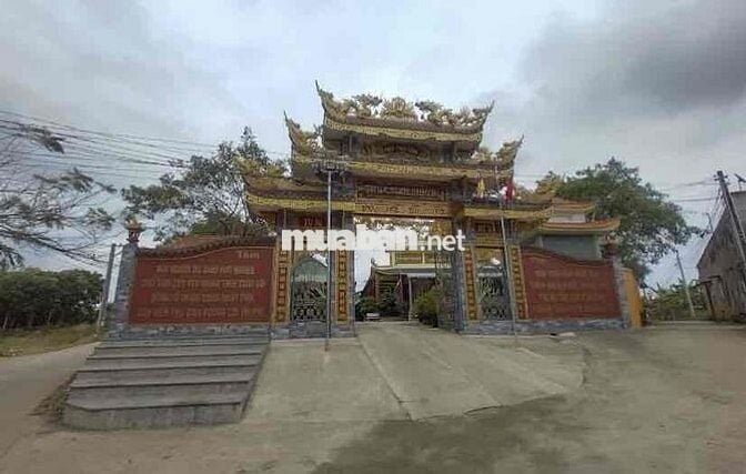 đất đồi cao đẹp bán gấp về quê