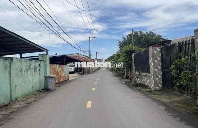 đất đồi cao đẹp bán gấp về quê