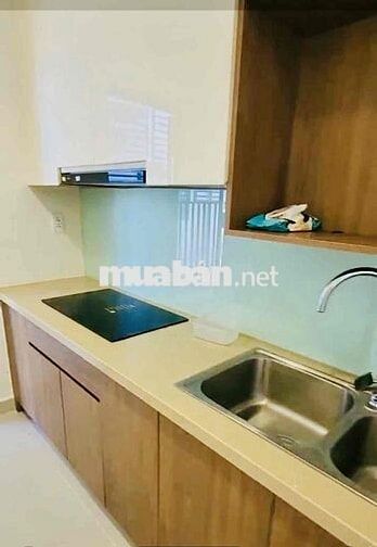 Cho thuê căn hộ CC CT3 Vĩnh Điềm Trung