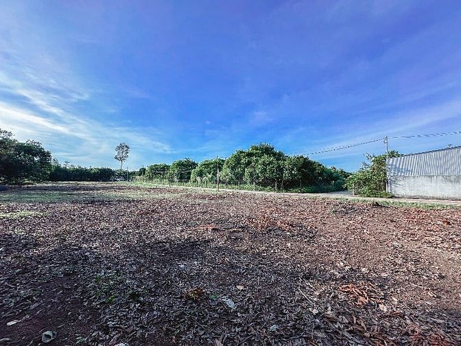 CHỐT LIỀN TAY NÀO CÁC ANH CHỊ ƠI - ĐẤT NỀN THỔ CƯ SỔ RIÊNG P. BÌNH LỘC