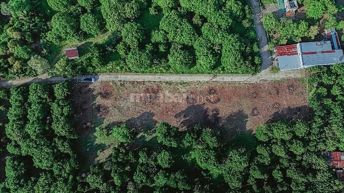 CHỐT LIỀN TAY NÀO CÁC ANH CHỊ ƠI - ĐẤT NỀN THỔ CƯ SỔ RIÊNG P. BÌNH LỘC