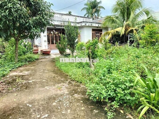 Vợ chồng tôi cần bán nhà 999 Nguyễn Văn Khạ