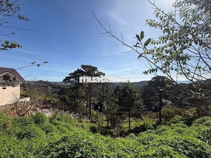 Chính chủ bán đất 1091m2 view đồi thông tại Đường 3/4, Đà Lạt