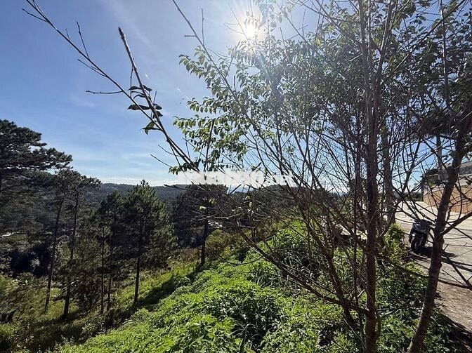 Chính chủ bán đất 1091m2 view đồi thông tại Đường 3/4, Đà Lạt