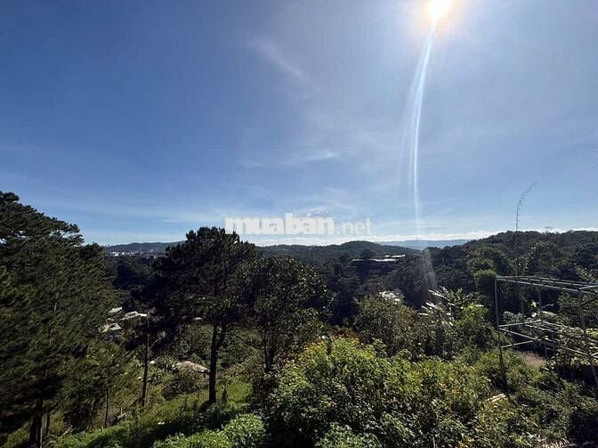 Chính chủ bán đất 1091m2 view đồi thông tại Đường 3/4, Đà Lạt
