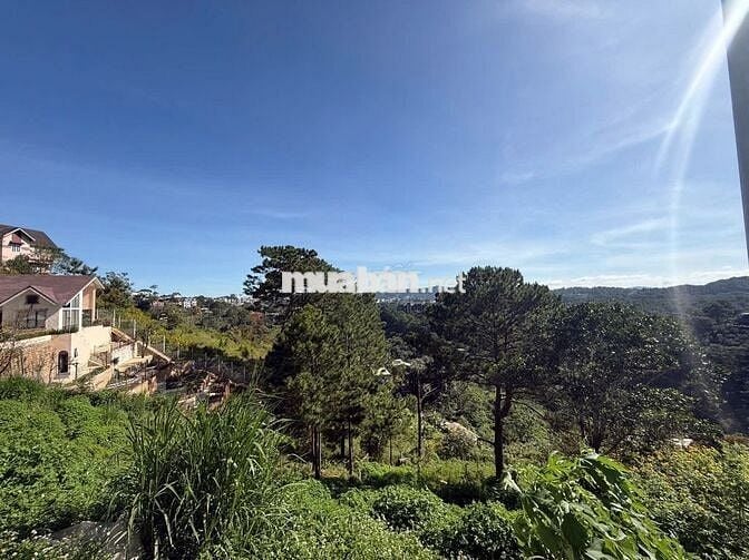 Chính chủ bán đất 1091m2 view đồi thông tại Đường 3/4, Đà Lạt