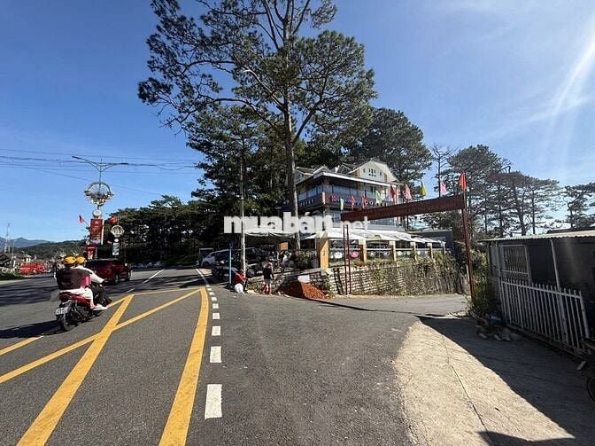 Chính chủ bán đất 1091m2 view đồi thông tại Đường 3/4, Đà Lạt